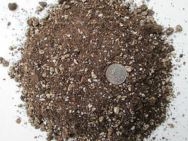 3.5 Gal -Soil Mix for Spineless Succulents/ Cactus-Custom Blend -Proper Drainage - £27.79 GBP