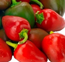 Grow 20 Sweet Premium Nongmo Pimento Pepper Seedsb 49 - £7.02 GBP