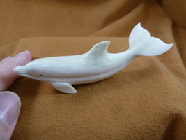 Dolph-w37 white Albino Dolphin of shed ANTLER figurine Bali detailed car... - £55.13 GBP