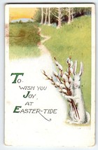 Easter Greetings Postcard Bunny Rabbit Holds Pussywillows Pink Perfection 1916 - $6.30