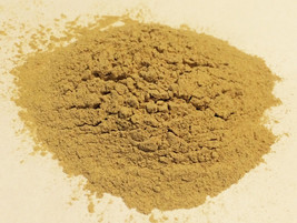 1 oz. Yellow Dock Root Powder (Rumex crispus) Organic &amp; Kosher  USA - £1.55 GBP