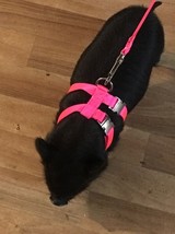 New Style Adjustable Hog  (PIG) Harness With leash 2 Metal Buckle USA Made - £21.02 GBP+