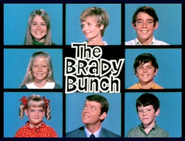 The Brady Bunch - Complete TV Series  - £39.83 GBP