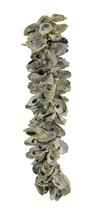 Scratch &amp; Dent Natural Oyster Shell Indoor Outdoor Decor - £23.48 GBP