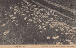 JUST DAISIES-RICHARD TROTTER JEFFCOTT-ART IN PHOTOGRAPHY~1909 PHOTO POST... - £5.62 GBP