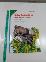 baby animals in the rain forest  scott foresman 1.1.4 Paperback (64-32) - £4.58 GBP