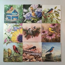 3.5&quot; Birds Tanager Goldfinch Warbler Flowers Nature Scene Square Paper C... - $10.10