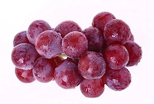 Generic Grapes Seeds(50 Seeds) Usa Seller - £11.16 GBP