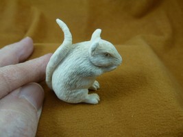(MOU-W3) little white gray Mouse shed ANTLER figurine Bali detailed fiel... - $84.14
