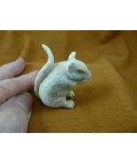 (MOU-W3) little white gray Mouse shed ANTLER figurine Bali detailed fiel... - £66.16 GBP