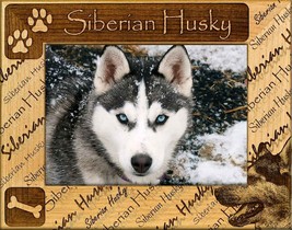 Siberian Husky Laser Engraved Wood Picture Frame Landscape (3 x 5)  - £20.55 GBP