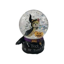 Martha Stewart Trick or Treat Witch Dog w Jack-O-Lanter Musical Snow Wat... - $922.49 MXN