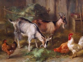 Fun Art Wall Decor Goats And Chickens Painting Printed Canvas Giclee - £6.86 GBP+