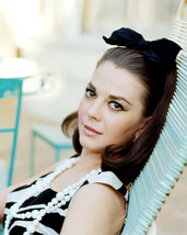 Natalie Wood 11x14 Photo sexy on beach chair - £11.98 GBP