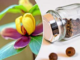 Item image 1 image 1