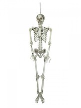 EUROPALMS Halloween Skeleton, 59 1/8in - £77.78 GBP