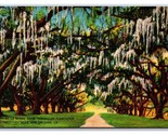 La Ronde Oaks Versailles Plantation Nuovo Orleans Louisiana Unp Lino Car... - $4.50