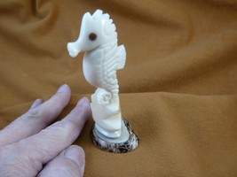 (TNE-SEAH-5a) Large Seahorse on TAGUA NUT base figurine seahorses - €30,25 EUR
