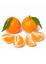 Florida only!! Clementine (Citrus reticulata ‘Clementine’) 1-2 ft tall grafted - £90.46 GBP