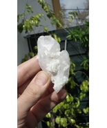 Danburite brute / Danburite Crystal / Pink Danburite - $73.37