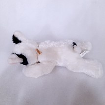 Golden Bear Co Bull Terrier Plush puppy Dog Stuffed Toy 2002 black white beanie - £24.74 GBP
