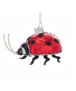 LADYBUG GLASS ORNAMENT 3&quot; Kurt Adler Noble Gems Christmas Tree Red Insec... - €17,09 EUR