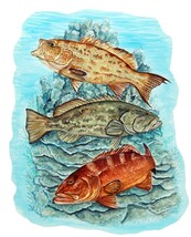 Item image 1 image 1