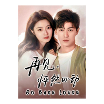 Go Back Lover (2024) Chinese Drama - £52.34 GBP