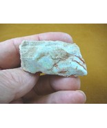 O-240-23) 31.9 grams white green flash Coober Pedy opal specimen stone A... - $50.99