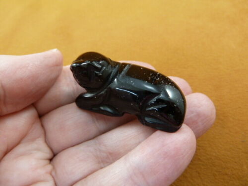 (Y-SEAL-567) little Black Onyx SEAL gemstone carving FIGURINE seals sea ... - $14.01