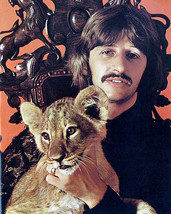 Ringo Starr With Tiger Cub Rare Pose 8x10 HD Aluminum Wall Art - £31.96 GBP