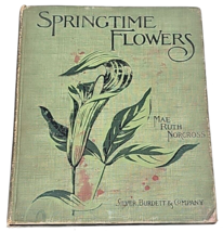 Springtime Flowers Easy Lessons In Botany By May Ruth Norcross 1900 1st ... - £39.10 GBP