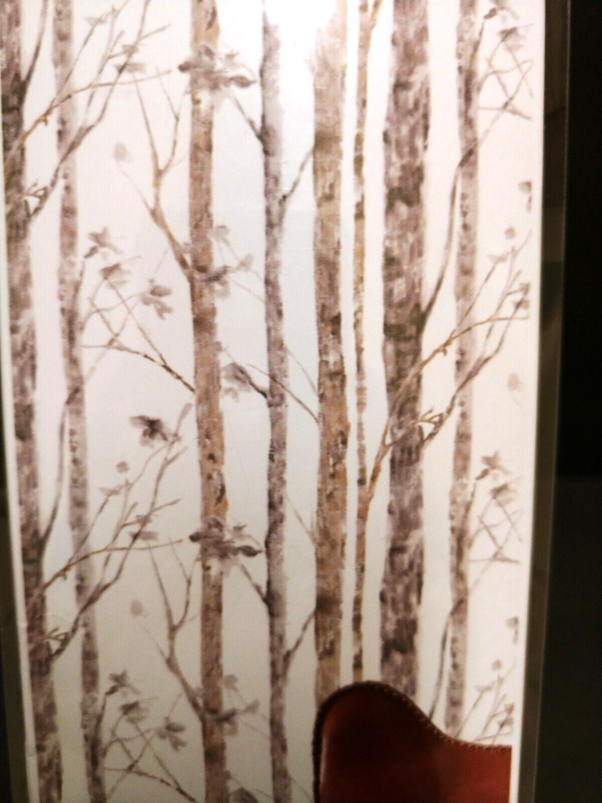 Primary image for RoomMates Peel & Stick Wallpaper RMK9047WP White Birch Trees 20.5"x16.5'=28.19sq