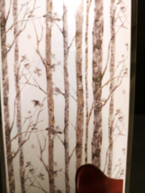 RoomMates Peel & Stick Wallpaper RMK9047WP White Birch Trees 20.5"x16.5'=28.19sq - $32.71