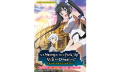 DanMachi / Is It Wrong To Try To Pick Up Girls In A Dungeon? Season 1-4 DVD - £20.83 GBP