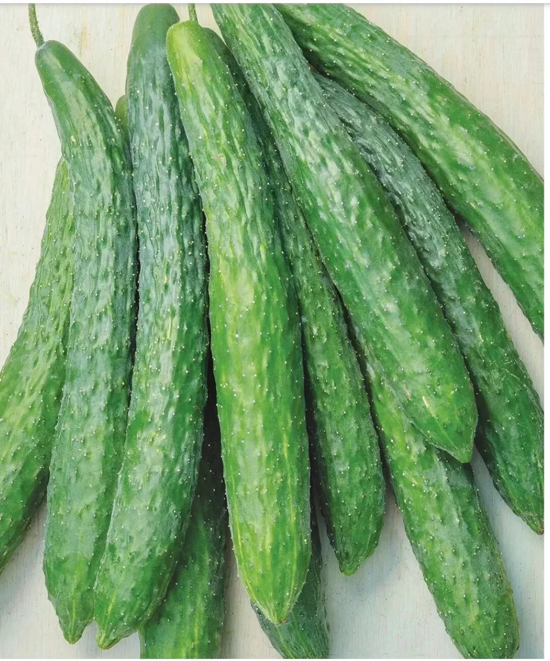 25 Seeds Shantung Suhyo Cross Cucumbers Edible Canning Pickling Fresh Usa Seller - £8.30 GBP