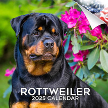 ROTTWEILER Wall Calendar 2025 Animal DOG PET Lover Gift - £19.00 GBP