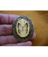 (cs3-10) BUTTERFLY CAMEO white gray oval Pin Pendant jewelry love butter... - €26,78 EUR