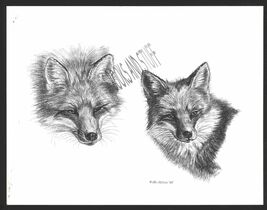 #364 two (2) FOXES  wild life art print * Pen &amp; ink drawing done by Jan ... - $12.50