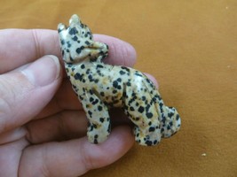 (Y-COY-ST-709) spotted Jasper COYOTE wild dog gemstone carving stone FIG... - $17.53
