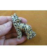 (Y-COY-ST-709) spotted Jasper COYOTE wild dog gemstone carving stone FIG... - $17.53