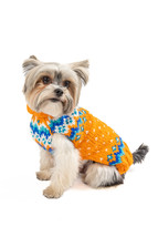 Artic Amber  Dog Sweater Chilly Dog Hand Knit Wool  XXS-XXXL Pet Puppy Warm - £24.91 GBP+