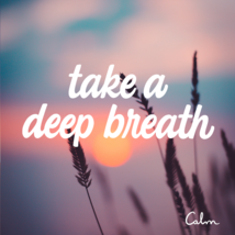 100X FULL COVEN SOUL'S CALMING SOOTHING LESSEN STRESS MAGICK 99 yr old Witch image 2