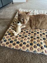 Cat Bed | Dog &amp; Cat Blanket  Dog &amp; Cat | Dog Cushion | Pet Bed - $16.00