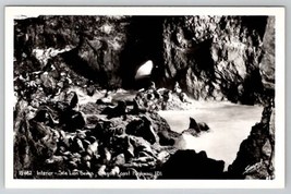 Oregon Coast Highway Interior Sea Lion Caves Sawyers RPPC Postcard A26 - $8.95