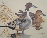 Pintails by Ken Carlson 1982 Texas Duck Stamp Print Artist Signed with m... - £91.85 GBP