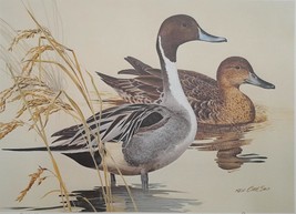 Pintails by Ken Carlson 1982 Texas Duck Stamp Print Artist Signed with m... - £92.50 GBP