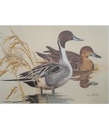 Pintails by Ken Carlson 1982 Texas Duck Stamp Print Artist Signed with m... - £94.02 GBP