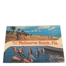 Postcard Hello From Melbourne Beach Florida Pelicans Sunny Beach Chrome Posted - £7.65 GBP