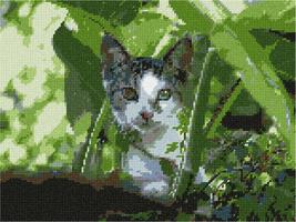 Pepita Needlepoint kit: Cat Peeking, 12&quot; x 9&quot; - £68.95 GBP+